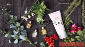 札幌駅近くのメンズエステ店舗（万香の宴） | DINOエステ（ディノエステ）