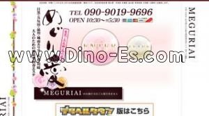 武蔵小杉の「めぐり愛」電話番号：090-9019-9696