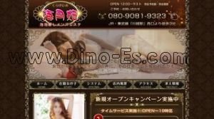 川越駅近くのメンズエステ店舗（海月姫 くらげひめ） | DINOエステ（ディノエステ）