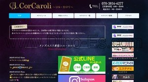 東新宿駅近くのメンズエステ店舗（CorCaroli～コル カロリ～） | DINOエステ（ディノエステ）