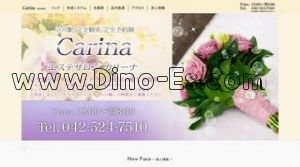 立川の「Carina カリーナ」電話番号：042-524-7510