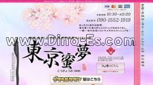 赤坂(東京)の「東京蜜夢」電話番号：090-1552-1919