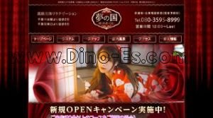 千葉中央の「夢の国」電話番号：080-3595-8999