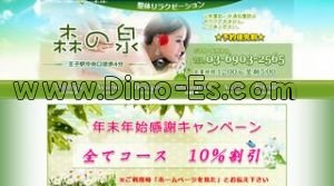 王子駅近くのメンズエステ店舗（森の泉） | DINOエステ（ディノエステ）