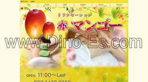 黒磯駅近くのメンズエステ店舗（赤マンゴー） | DINOエステ（ディノエステ）