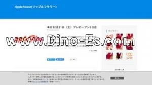 堺筋本町の「rippleflower リップルフラワー」電話番号：080-3826-1256