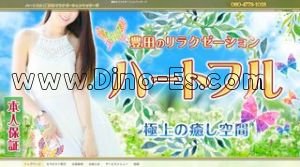 浄水駅近くのメンズエステ店舗（ハートフル） | DINOエステ（ディノエステ）
