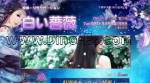 千葉中央の「白い薔薇」電話番号：080-3469-2888