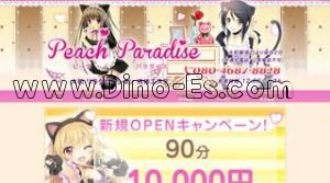大和(神奈川)の「Peach Paradise」電話番号：080-4687-8828