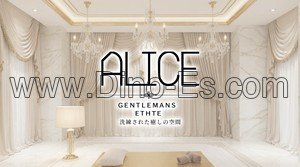 町田駅近くのメンズエステ店舗（A lice～アリス町田～） | DINOエステ（ディノエステ）