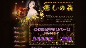 癒しの森 メンズエステ | DINOエステ(ディノエステ) 東神奈川駅近くのメンズエステ店舗(癒しの森) | DINOエステ(ディノエステ)