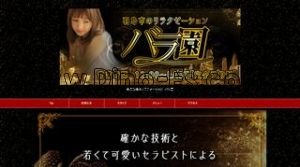 岐阜羽島の「バラ園」電話番号：080-9520-3262