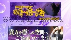 穂積駅近くのメンズエステ店舗（蝶恋花） | DINOエステ（ディノエステ）