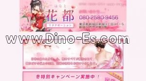 花都 はなと メンズエステ | DINOエステ(ディノエステ) 新宿駅近くのメンズエステ店舗(花都 はなと) | DINOエステ(ディノエステ)