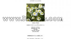 静岡の「カモミール」電話番号：090-3442-3929