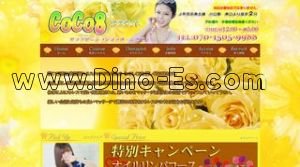 CoCo8 メンズエステ | DINOエステ(ディノエステ) 川口駅近くのメンズエステ店舗(CoCo8) | DINOエステ(ディノエステ)