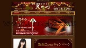 千葉中央の「花の心」電話番号：080-3494-2964