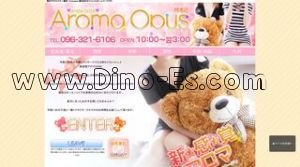 熊本の「AromaOpus熊本店」電話番号：096-321-6106