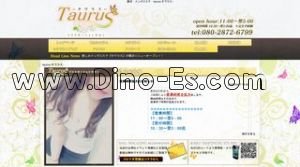 Taurus タウラス メンズエステ | DINOエステ(ディノエステ) 藤沢駅近くのメンズエステ店舗(Taurus タウラス) | DINOエステ(ディノエステ)