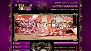 新宿の「猫コネコ KONEKO」電話番号：070-1948-6868