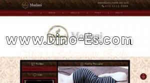 新御徒町駅近くのメンズエステ店舗（Moelani モエラニ） | DINOエステ（ディノエステ）