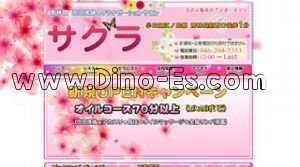 南林間の「サクラ」電話番号：046-204-5353