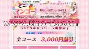 鶴ヶ島の「ミニマンゴー」電話番号：080-6256-6431