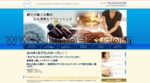 佐賀駅近くのメンズエステ店舗（ブルーローズ） | DINOエステ（ディノエステ）