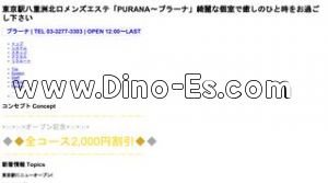 東京駅近くのメンズエステ店舗（PURANA プラーナ） | DINOエステ（ディノエステ）