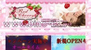 新秋津駅近くのメンズエステ店舗（Red Cherry） | DINOエステ（ディノエステ）