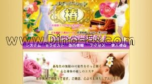 日本橋駅近くのメンズエステ店舗（椿） | DINOエステ（ディノエステ）