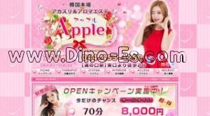 Apple 韓国 メンズエステ | DINOエステ(ディノエステ) 溝の口駅近くのメンズエステ店舗(Apple 韓国) | DINOエステ(ディノエステ)