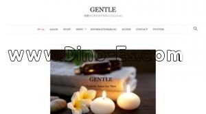 烏丸駅近くのメンズエステ店舗（GENTLE ジェントル） | DINOエステ（ディノエステ）