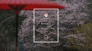 新橋の「MEMORY RELAX」電話番号：03-3502-9977