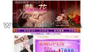 藤の花 メンズエステ | DINOエステ(ディノエステ) 南浦和駅近くのメンズエステ店舗(藤の花) | DINOエステ(ディノエステ)
