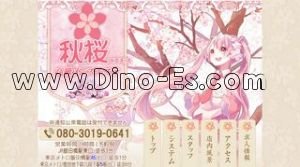 飯田橋駅近くのメンズエステ店舗（秋桜 コスモス） | DINOエステ（ディノエステ）