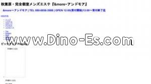 秋葉原の「＆more アンドモア」電話番号：080-8856-3988
