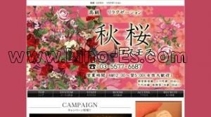 小川町駅近くのメンズエステ店舗（秋桜 コスモス） | DINOエステ（ディノエステ）