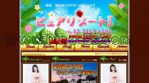 新宿の「ピュアリゾートII」電話番号：03-3207-6596
