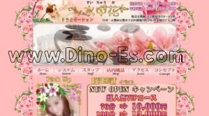 大宮(京都)の「水中花」電話番号：080-4568-1588