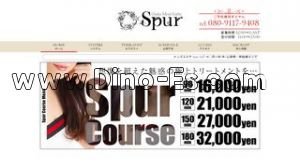 難波駅近くのメンズエステ店舗（Spur シュプール） | DINOエステ（ディノエステ）