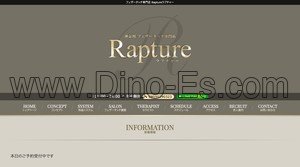 中央林間駅近くのメンズエステ店舗（Rapture ラプチャー） | DINOエステ（ディノエステ）