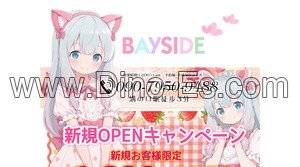 溝の口の「BAYSIDE」電話番号：090-7950-9488