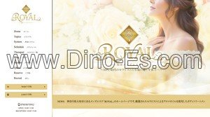 大和駅近くのメンズエステ店舗（ROYAL） | DINOエステ（ディノエステ）