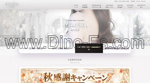 相模大野駅近くのメンズエステ店舗（SELESTE セレステ） | DINOエステ（ディノエステ）