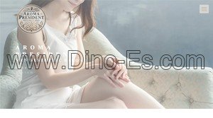 館林駅近くのメンズエステ店舗（AROMA PRESIDENT） | DINOエステ（ディノエステ）
