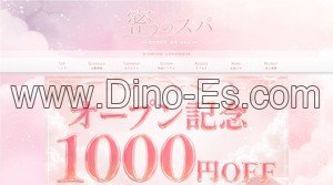 東神奈川の「密のスパ」電話番号：070-4702-8124