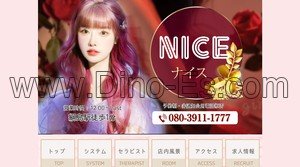 綱島の「NICE ナイス」電話番号：080-3911-1777