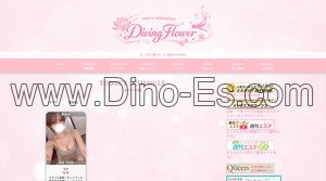 新杉田の「Diving Flower ダイビングフラワー」電話番号：090-6519-4800