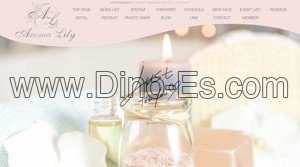 岐阜の「Aroma Lily アロマリリー」電話番号：080-7836-6125